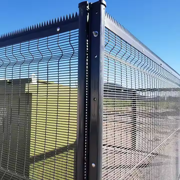 企业微信截图_17343333725353.png