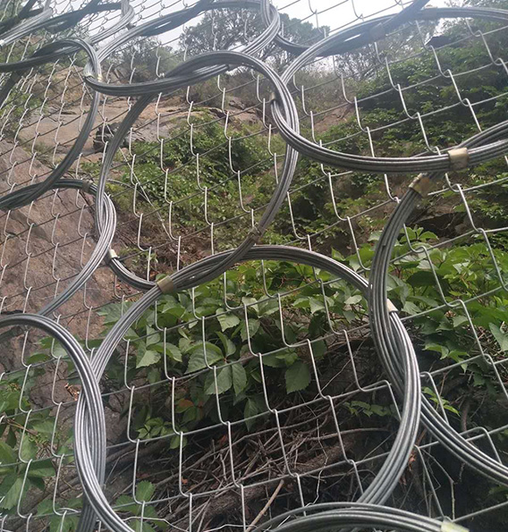 环形网
